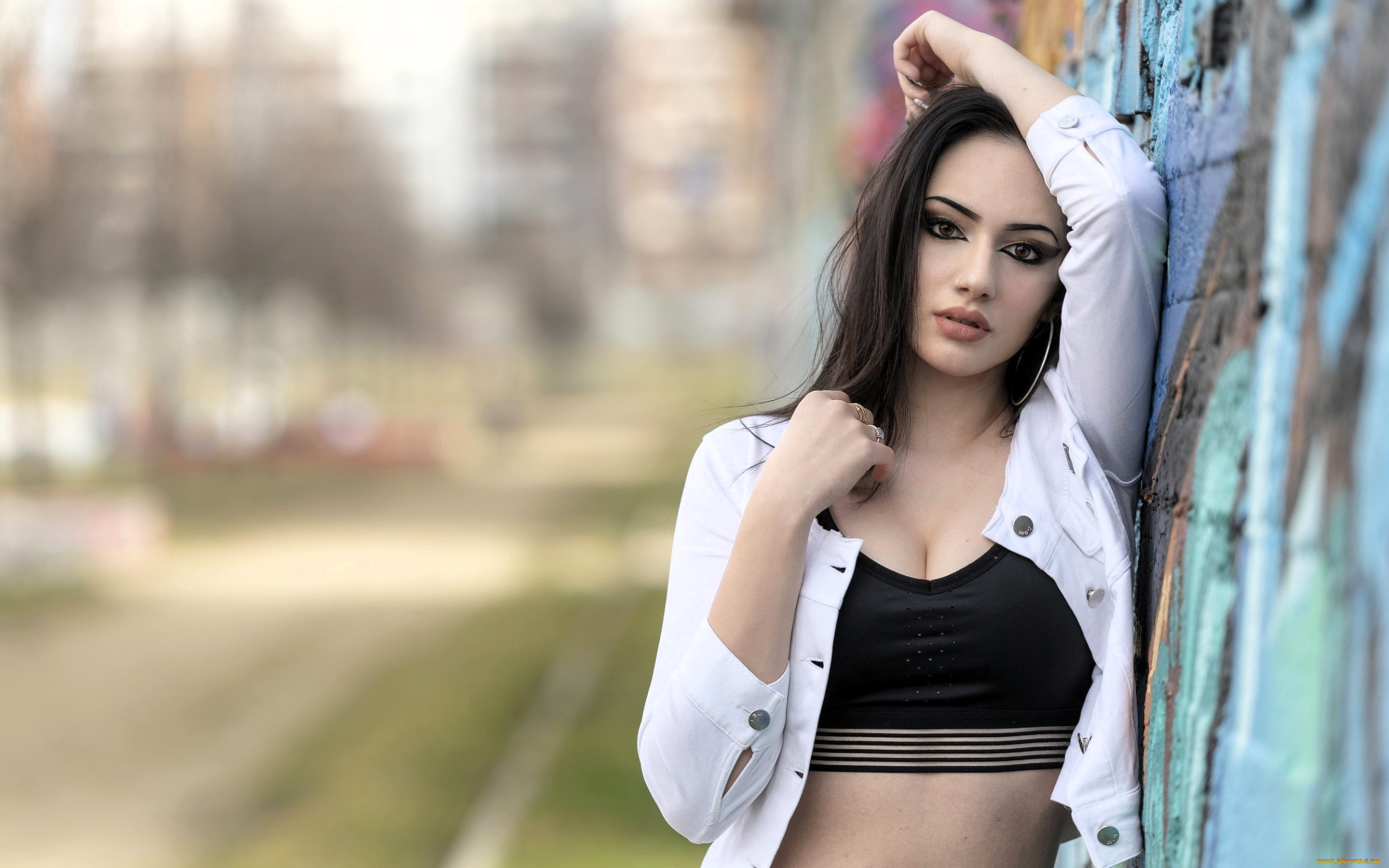 , - ,  , , , , 